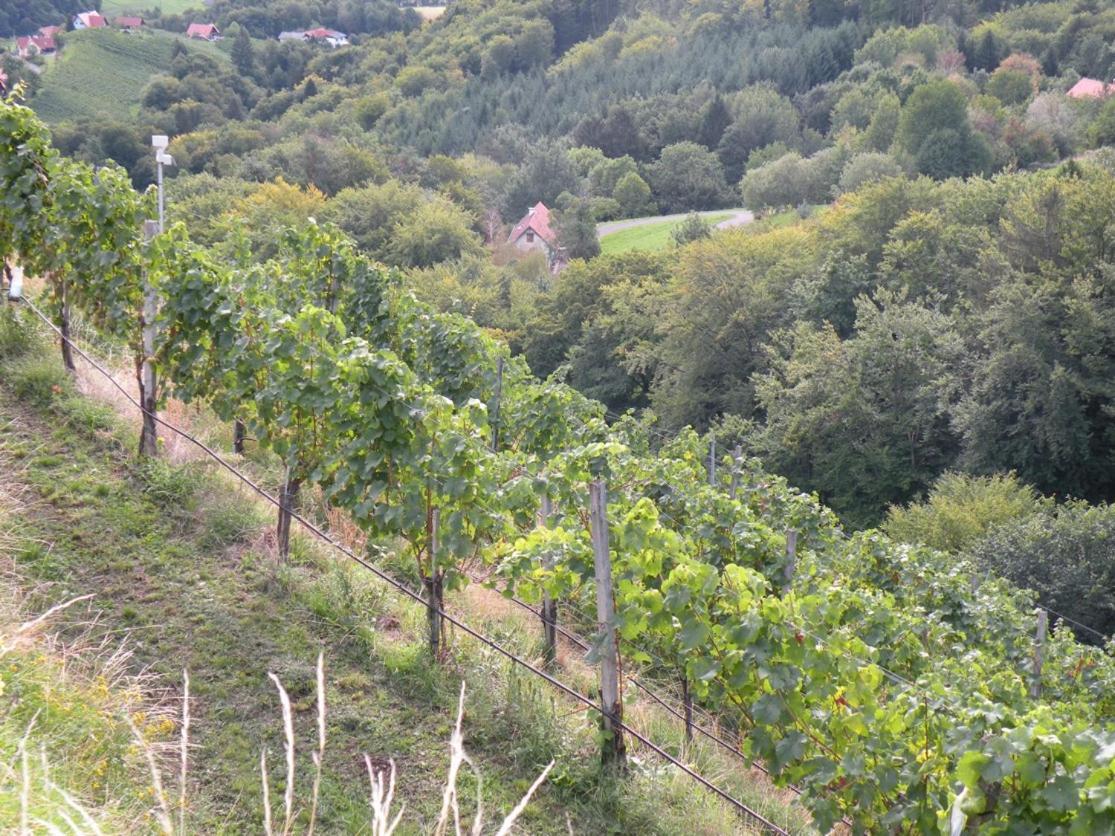 Weingut Albert, Familie Cramer Bed & Breakfast Kitzeck im Sausal Exterior foto