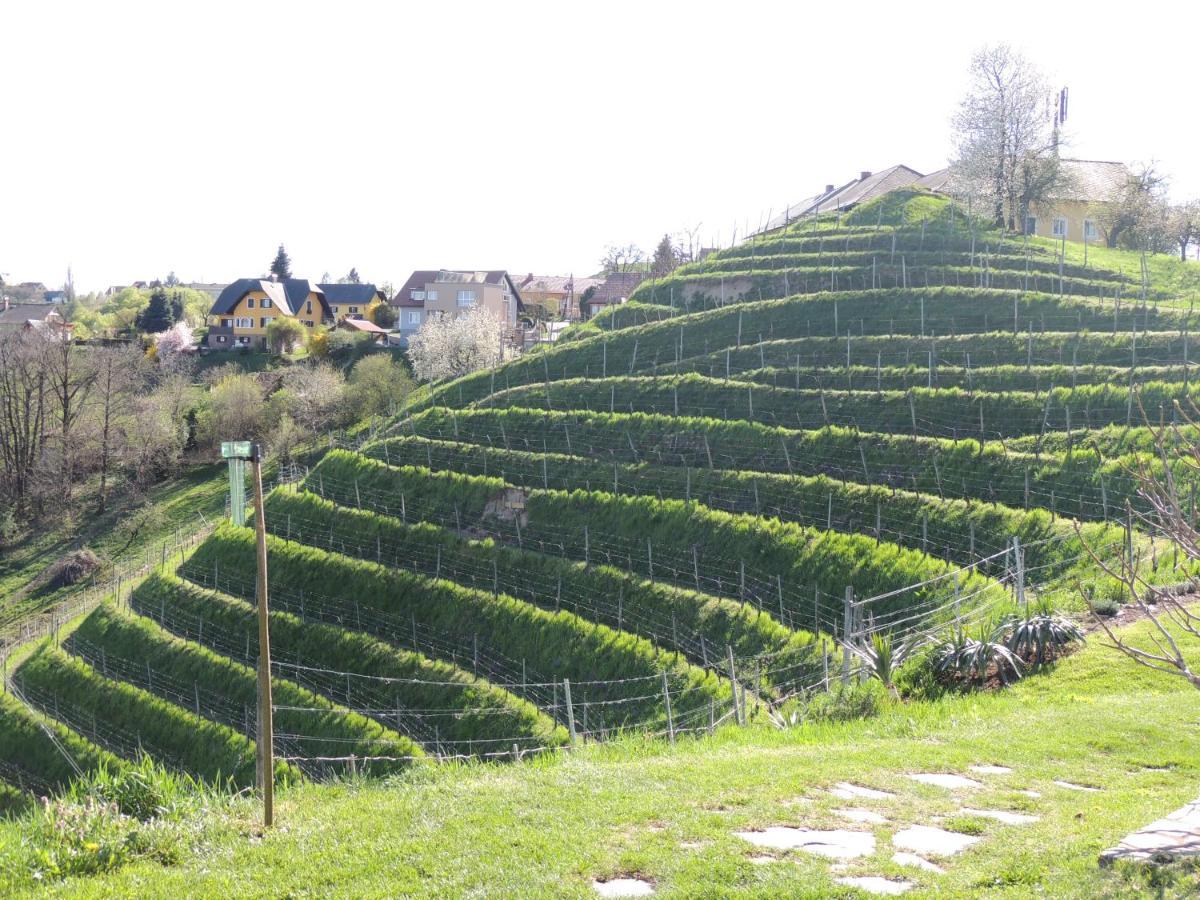 Weingut Albert, Familie Cramer Bed & Breakfast Kitzeck im Sausal Exterior foto