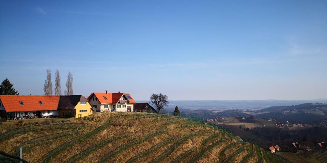 Weingut Albert, Familie Cramer Bed & Breakfast Kitzeck im Sausal Exterior foto