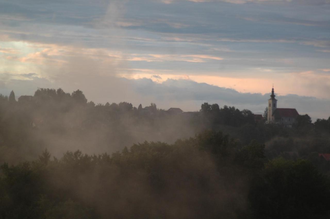 Weingut Albert, Familie Cramer Bed & Breakfast Kitzeck im Sausal Exterior foto