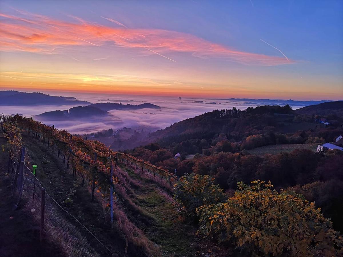 Weingut Albert, Familie Cramer Bed & Breakfast Kitzeck im Sausal Exterior foto