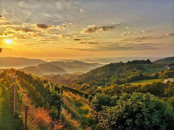 Weingut Albert, Familie Cramer Bed & Breakfast Kitzeck im Sausal Exterior foto